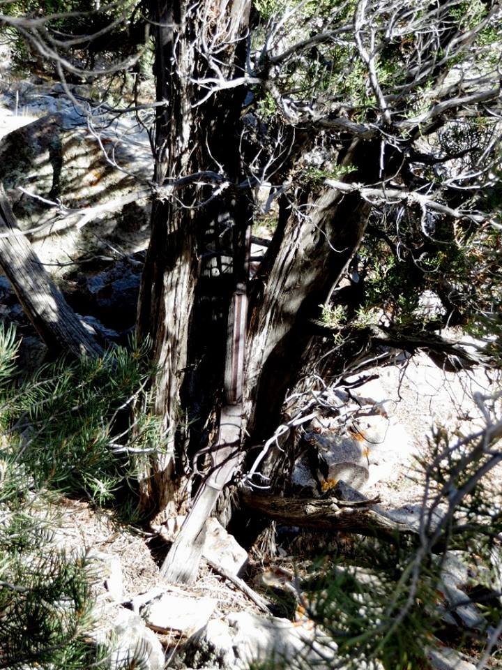 Gateway Metal Detectors Discovery